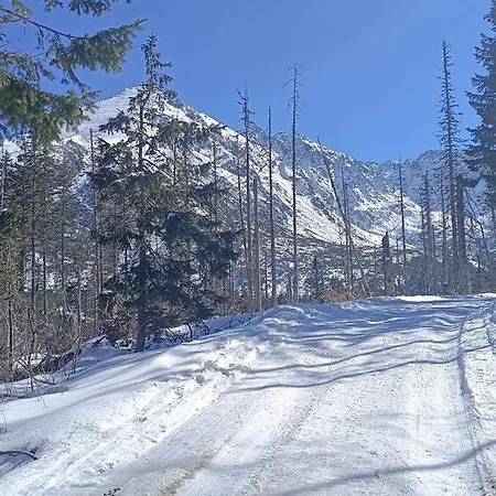 Nbd-bafia Z Kominkiem Alpehytte