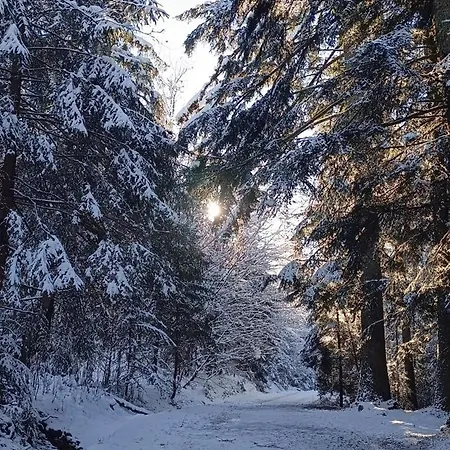 Nbd-bafia Z Kominkiem *