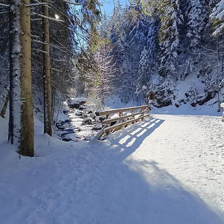 Nbd-bafia Z Kominkiem Alpehytte