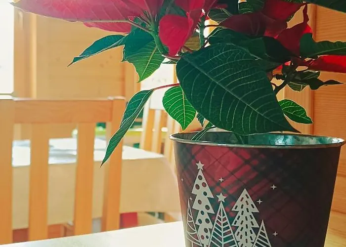 Nbd-bafia Z Kominkiem * Zakopane