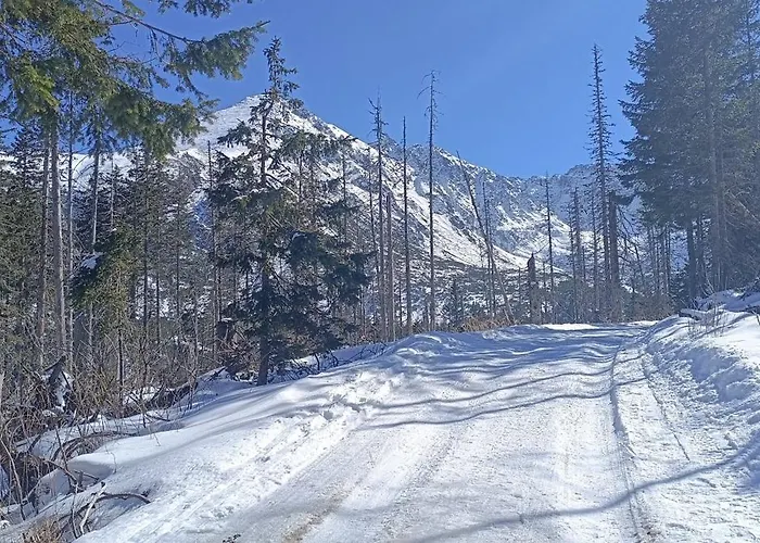 Nbd-bafia Z Kominkiem Alpehytte