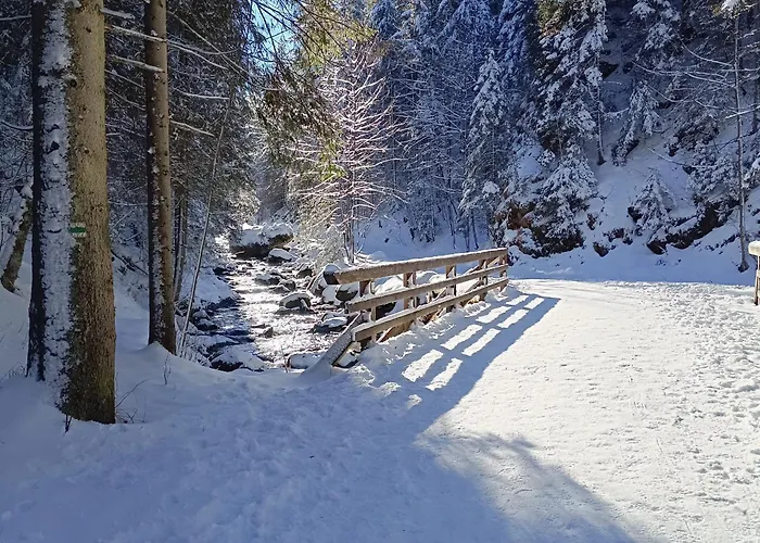 Nbd-bafia Z Kominkiem Chalet